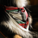 Slabbetje Tartan Dreams Huisdier Bandana