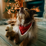 Slabbetje Rood Erfgoed Bandana