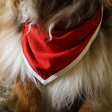 Slabbetje Rood Erfgoed Bandana