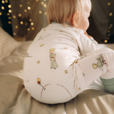 ZIPSTER™  Kleine prins planetoïde B-612