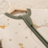 ZIPSTER™  Kleine prins planetoïde B-612