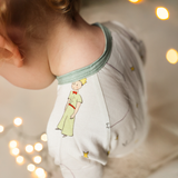 ZIPSTER™  Kleine prins planetoïde B-612